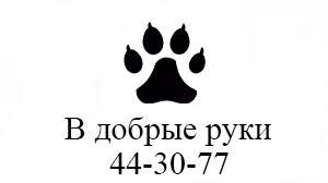 Аренда