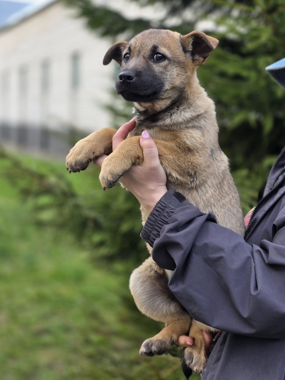 Контейнер 8м³